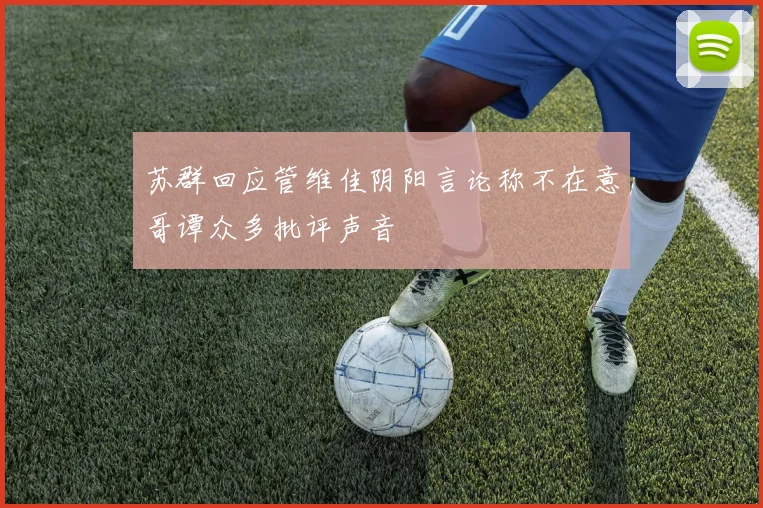 苏群回应管维佳阴阳言论称不在意哥谭众多批评声音
