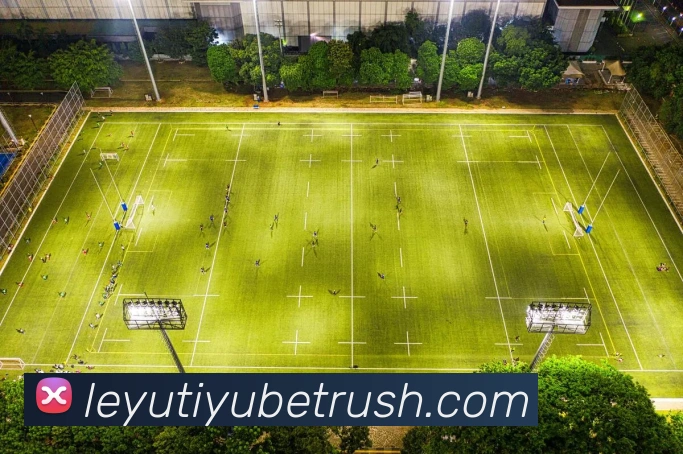 多媒体互动体验