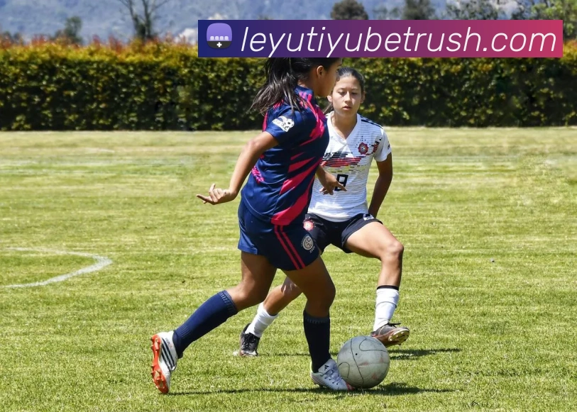 乐鱼体育APP 高清赛事图